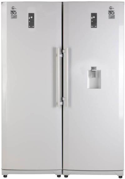 
                                    یخچال فریزر دوقلو کلوِر مدل RNT101-FNT101
                            