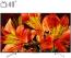 تلویزیون ال ای دی هوشمند سونی مدل KD 49X8500F سایز 49 اینچ