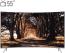 تلویزیون ال ای دی هوشمند خمیده سامسونگ مدل 55NU8950 سایز 55 اینچ