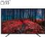 تلویزیون ال ای دی هوشمند شهاب مدل 55SH300S سایز 55 اینچ