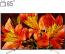تلویزیون هوشمند ال ای دی سونی مدل KD 65X8500F سایز 65 اینچ
