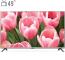 تلویزیون ال ای دی ال جی مدل 49LF55000GI سایز 49 اینچ